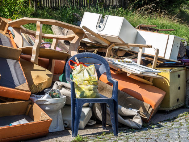 Best Basement Cleanout Services  in Norman Park, GA