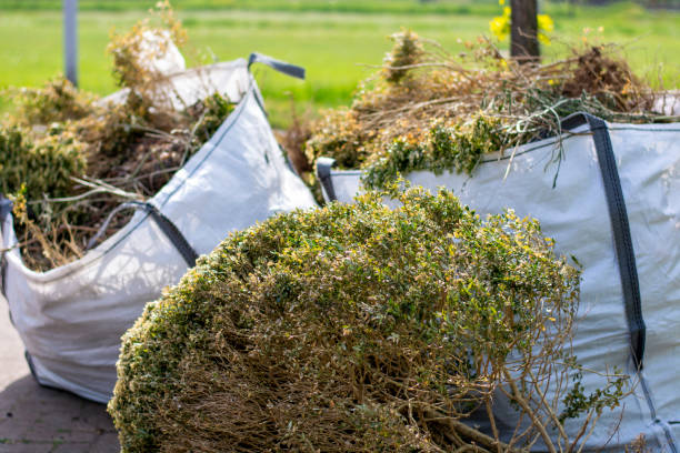 Best Yard Cleanup Services  in Norman Park, GA