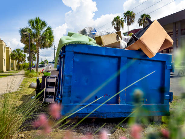 Attic Cleanout Services in Norman Park, GA